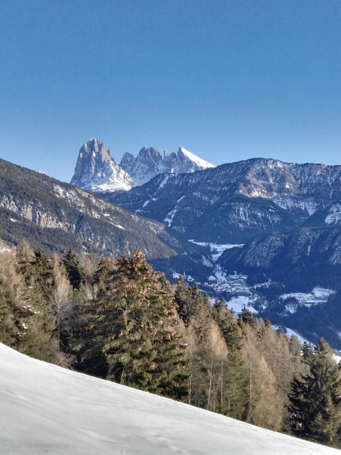Alpine Chalet Aurora Dolomites Laion Extérieur photo