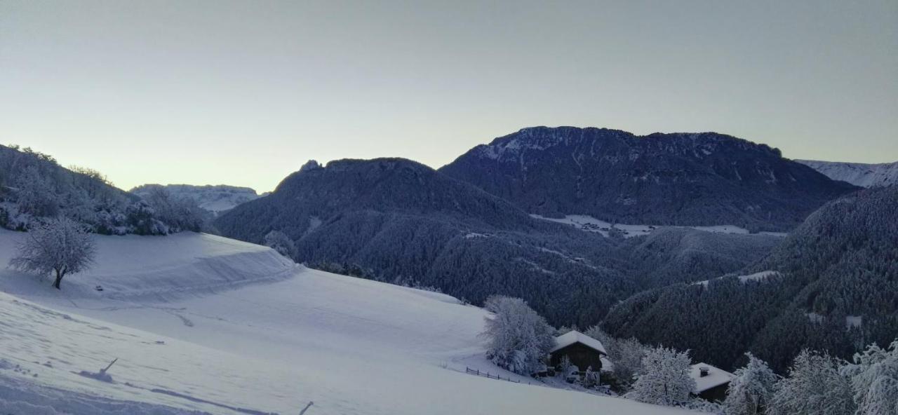 Alpine Chalet Aurora Dolomites Laion Extérieur photo